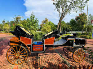 Carroza Eléctrica de Lujo <span class=keywords><strong>para</strong></span> Turismo en Hoteles y Resorts, Estilo Retro Victoriano - Product Image 3