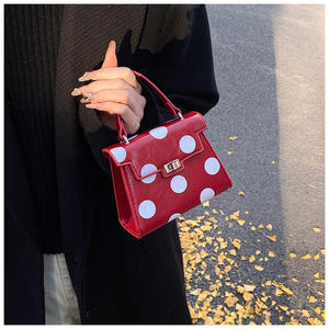 中国供应商2025新到女性时尚小圆点手袋女孩迷你手袋ins热卖女士口红包 - Product Image 1