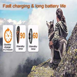 Collar de Adiestramiento para Perros Inteligente con Control Remoto Ipetdog IT689 - Dispositivo Antiladridos con 8 Sonidos, Resistente al Agua IP67, Plástico Ecológico, Diseño Moderno - Product Image 6
