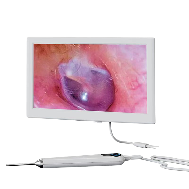 New Arrival 1080P HD Screen 3.5mm Camera WiFi Professional Otoscope Ear Canal Nasal Oral Endoscope 6 LED Lights for Home Use