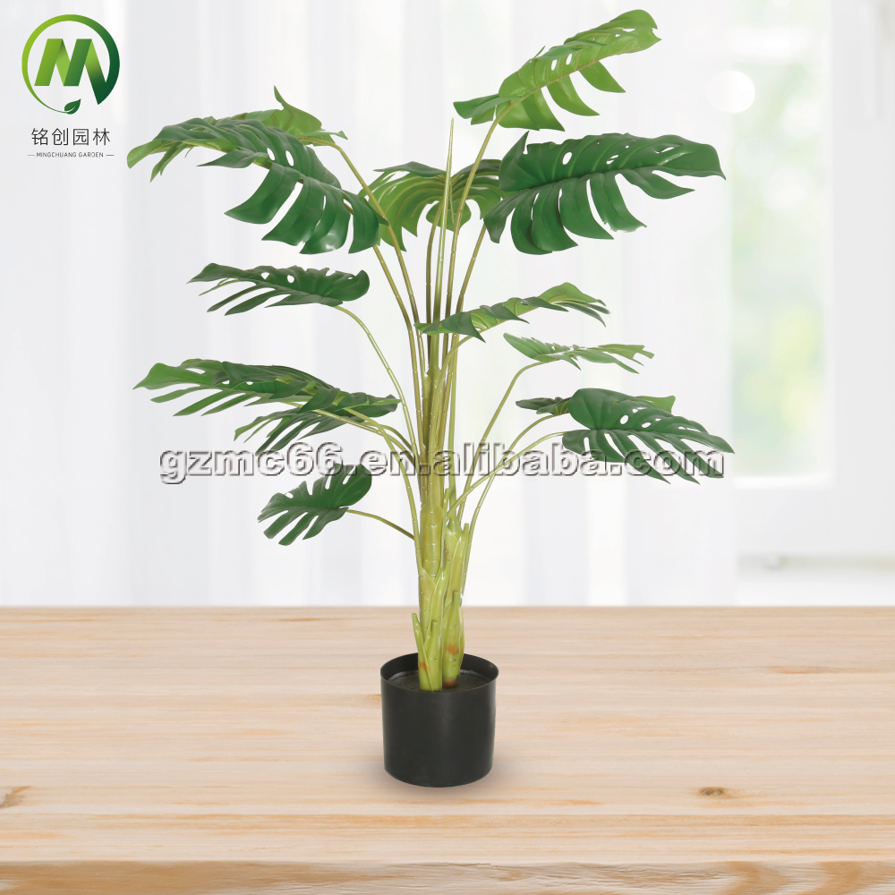 monsteria-2trunks- 120cm
