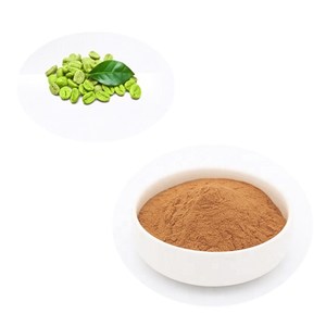 Approvisionnement d'usine <span class=keywords><strong>meilleur</strong></span> 50% <span class=keywords><strong>poudre</strong></span> d'extrait de grain de café vert acide chlorogénique - Product Image 4