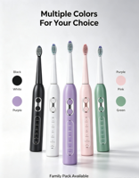 Brosse à dents électrique sonique Eisler T8 OEM ODM pour adultes, 5 modes, IPX7, rechargeable, blanchiment des dents, logo personnalisé, vente en gros
