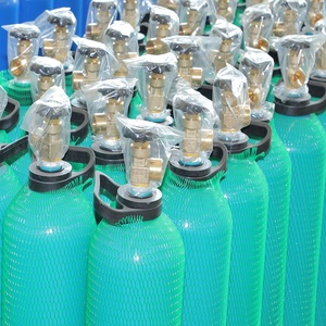 Productie Levering Van Hoge Druk Zuurstof Cilinders/Naadloze Gas Opslagtanks