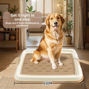 Bandeja Sanitária Fixa Alice para Cães com Tapete Absorvente – Ecológica e Lavável para Cães de Pequeno e Médio Porte - Product Image 2