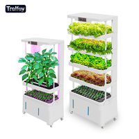 Unidad de Agricultura Inteligente sin Suelo para el Hogar con Pantalla Digital que Muestra la Temperatura y Humedad en Tiempo Real