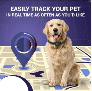 ปลอกคอสุนัข GPS 4G ติดตามการเคลื่อนไหวแบบเรียลไทม์ - Product Image 2
