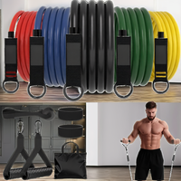 Readaeer Bandes de Résistance Unisexe – Kit Complet 5 Niveaux pour Entraînement à Domicile et Rééducation Physique |   Résistance maximale de 150 lb/70 kg |