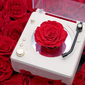 Altavoz con Diseño de Rosa y Luces LED, Lindo Altavoz Bluetooth para el Hogar, Fiestas, <span class=keywords><strong>Karaoke</strong></span> y Viajes, Sistema de Sonido Moderno - Product Image 6