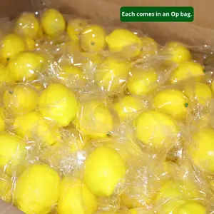 Limones Artificiales de Espuma, Accesorios de Frutas Realistas, Limones Amarillos para Decoración de Hoteles, Exhibición en el Hogar, Adorno de Cocina, Fruta al por Mayor - Product Image 1