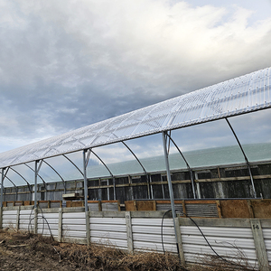 Plaque de polycarbonate <span class=keywords><strong>ondulée</strong></span> de 1,5 mm avec protection UV, design moderne <span class=keywords><strong>pour</strong></span> toiture de <span class=keywords><strong>serre</strong></span> extérieure et construction - Product Image 4