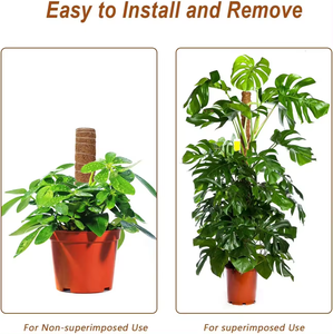 Ausziehbarer Pflanzen blumen ständer Trade Assurance Moss Pole Coco Pole - Product Image 3