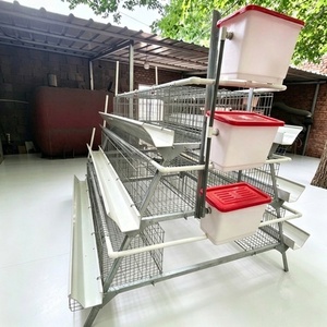 Sistema Automatico HENGQI per Gabbie di Galline Ovaiole, Attrezzatura per Allevamenti Avicoli, Modello <span class=keywords><strong>A</strong></span> Zincato, Vendita Promozionale - Product Image 4