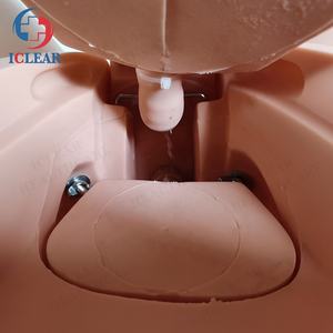 वरिष्ठ महिला जननांग कैथीटेराइजेशन चिकित्सा शिक्षण सिम्युलेटर - Product Image 3