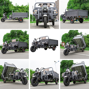 Promotion motorisé électrique Cargo Tricycle pour adultes 3 roues moto Tricycles vélo 1000w véhicules - Product Image 5