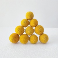Buket Bunga Kering Asli Eternal Gold Ball, Dekorasi Rumah Kreatif DIY, Hadiah Paskah, Buatan Grosir, Buah Golden Hammer