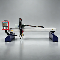 Machine de découpe plasma CNC économique de haute technologie pour une découpe facile de l'acier au carbone, de l'acier inoxydable et du métal