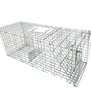 Kandang Perangkap Kucing & Anjing Otomatis Humane Grosir - Langsung dari Pabrik, Lipat dengan Pedal untuk Penyelamatan, TNR, dan Pengendalian Hewan - Product Image 4