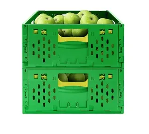 100% 新的原始PP堆叠存储折叠可折叠农业蔬菜板条箱水果板条箱产品类型