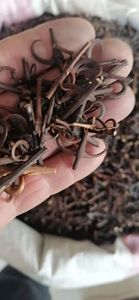 Stelo e spina <span class=keywords><strong>Gambir</strong></span> essiccati cinesi Gou Teng per erbe - Product Image 2