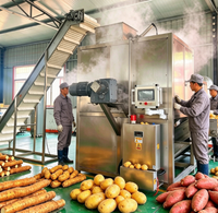 Industriële automatische aardappel-, zoete aardappel- en tomaten-stoomschilmachine