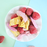 Produsen Fd Grosir Buah Kering Beku, Stroberi, Mangga, Persik, Kurma Irisan Campuran, Pengawetan Air