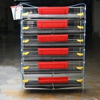 Cages pour cailles pondeuses, cages d'élevage pour cailles, cages pour poules pondeuses pour la production d'œufs