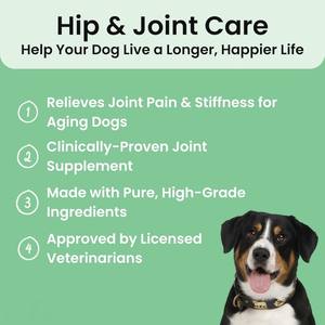 OEM/ODM זמין, תוספי תזונה לעיסות לכלבים, תומכים במפרקים, תכולה גבוהה של גלוקוזאמין, לכלבים גדולים - Product Image 2
