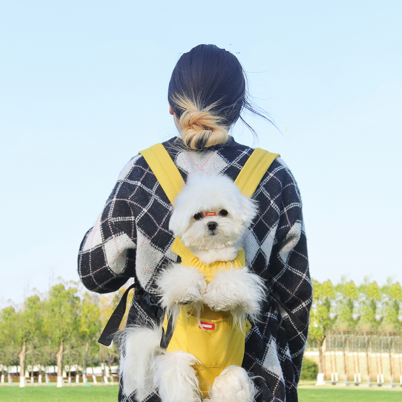 Wholesale Travel Portable Breathable Cat Carrier