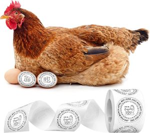 Pegatinas de huevos puestos en fecha, pegatinas de huevos frescos de granja, etiquetas de cartón de <span class=keywords><strong>pollo</strong></span> de huevo para embalaje de mercado de agricultores - Product Image 4