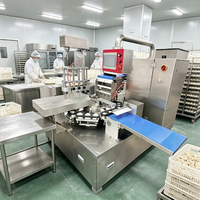 Appareil automatique de formage de raviolis avec mélangeur résistant à la corrosion et capteur de détection de fuites pour les chaînes hôtelières