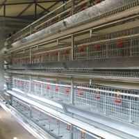 Cages à poules pondeuses d'occasion à bas prix, cages à volailles durables et faciles à installer pour élevages de poulets