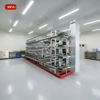 Nouveau poulailler automatique complet de type H/A, écologique, durable, à prix compétitif, avec grand moteur, en acier Q235 de haute qualité