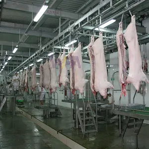 Matadero de cerdo a precio de fábrica, línea de matadero de cerdas en canal, máquina de matadero para equipo de carnicero de cerdos