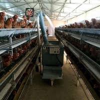 Xingdamuji Distributeur Automatique d'Aliments pour Volailles, Alimentateur de Poulets sur Batterie, Nouveau Distributeur Humide/Sec en Acier et Aluminium Tubulaire pour Animaux