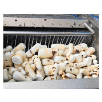 Offre Spéciale : Machine à Peler et Laver le Manioc 500 kg/h, Laveuse à Brosses pour Pommes de Terre, Machine à Peler les Ignames et Pommes de Terre
