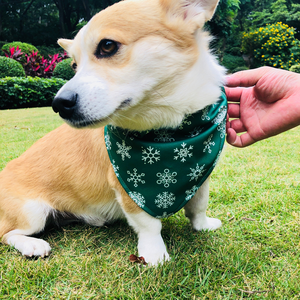 2025 Premium <span class=keywords><strong>personnalisé</strong></span> <span class=keywords><strong>chien</strong></span> Bandana Double couche Triangle écharpe pour animaux de compagnie conception gratuite par usine en gros Polyester et Nylon matériel - Product Image 2
