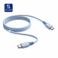 Câble de données magnétique en silicone Type C vers C 100 cm 100 W Charge rapide USB-C PD Câble tressé multifonction pour appareils Apple