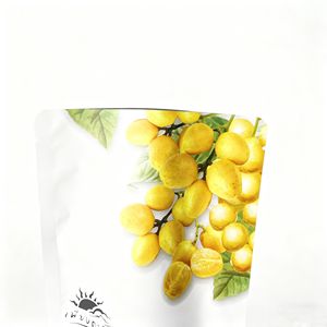 Custom Design <b>Food</b> <b>Bag</b> Packaging for Dried <b>Food</b> Fruit Cookie Glossy Finish Large Container Mylar Zipper Pouch - Product Image 5