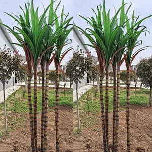 XRFZ模拟甘蔗绿色植物单枝叶农业博物馆展示摄影工厂批发