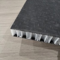 Panneau composite sandwich en nid d'abeille en plastique PP en fibre de verre haute pression pour raquettes de pickleball