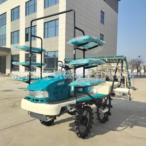 Trasplantadora de arroz de alta productividad de 8 filas, modelo 2ZG-8, con motor diésel. - Product Image 1