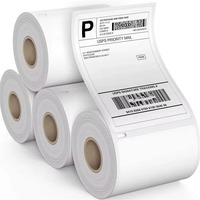 Label Stiker Barcode Thermal Langsung untuk Printer Waybill Alamat Pengiriman Logistik, Gulungan Kosong Grosir 4x6 100*150