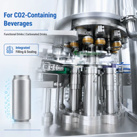 Machine de remplissage et de scellage automatique de canettes de jus W010 6000 CPH, machine de sertissage de canettes de 500 ml