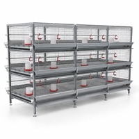 Nouveau système de cage d'élevage de poussins à 3 niveaux pour 30 000 poussins, conception compacte, taux de survie élevé des poussins d'un jour, HAOKAI