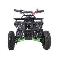 Quad ATV utilitaire miniature Tao Motor Rino 50 pas cher, 2 temps, 49 cm³, 4 roues pour enfants
