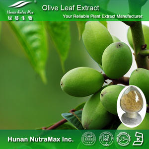 Pasokan ekstrak tanaman murni <span class=keywords><strong>Oleuropein</strong></span> 10% ~ 60% hidroksityrosol 3% ~ 25% ekstrak daun zaitun - Product Image 3