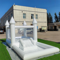 Les enfants jouent au videur blanc gonflable avec la maison pleine d'entrain gonflable de piscine de fosse de boule