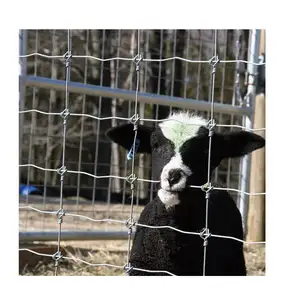Bestiame recinzione cerniera giunto bestiame 5 6 7 8 ft nodo fisso cervo all'ingrosso mucca pecora/campo recinzione zincata recinzione metallica prateria