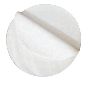Membrana PES Filtro de membrana de polietersulfona Medios de filtro de micras para LVP Parenteral de gran volumen - Product Image 1